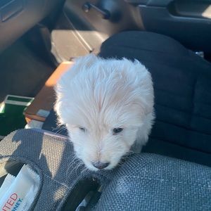 Meet your Posher, Hernan